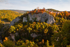 autumn forest nature color mountain