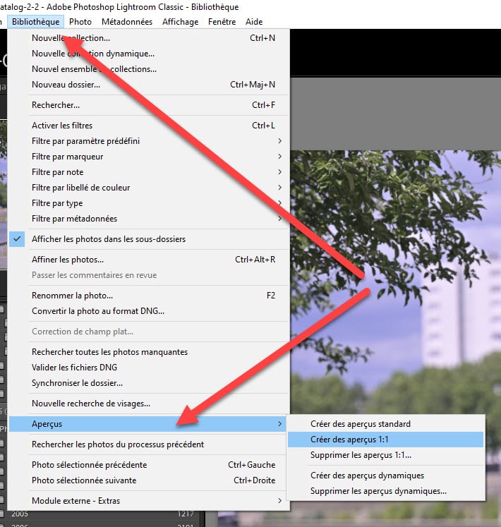 How to recreate Lightroom previews after importing