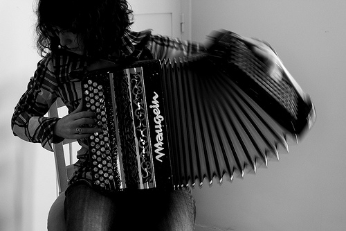 accordion photo