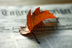 Autumn Newspaper Sheet