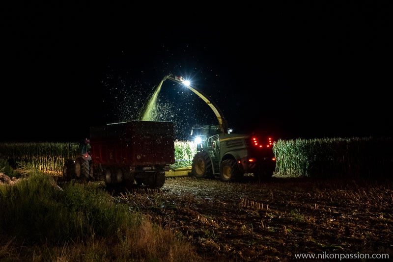 Corn silage in the Meuse region