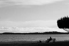 Photo Bassin d'Arcachon subject framing