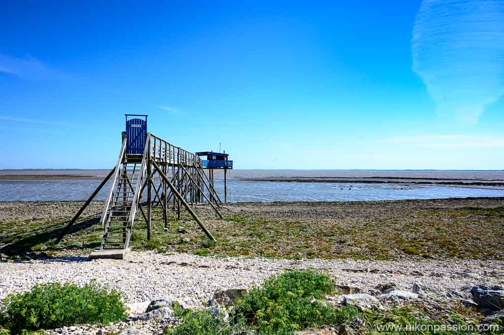 Carrelet on Île Madame