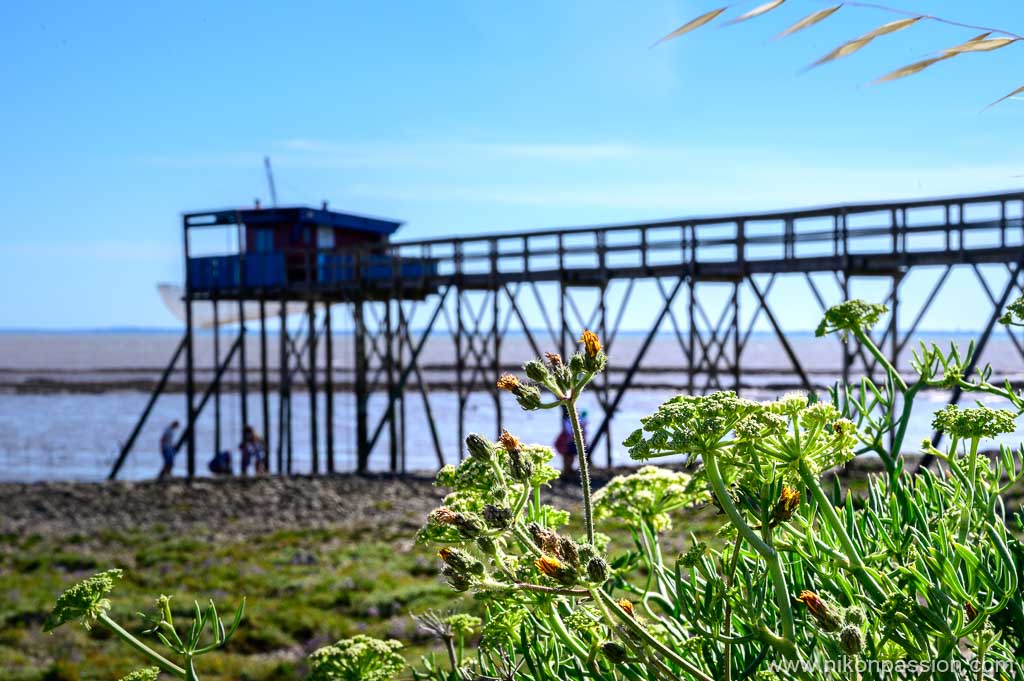 Carrelet on Île Madame