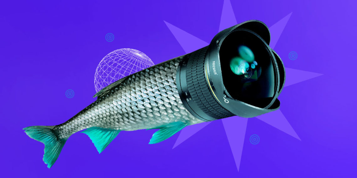 👁️ Fisheye: Ideas for Shocking Photos [2021]