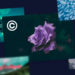 How to know if an image is copyrighted?