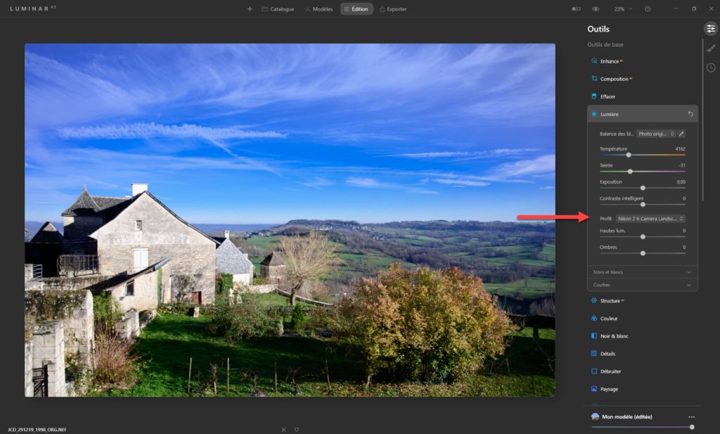 Nikon Picture Control with Luminar