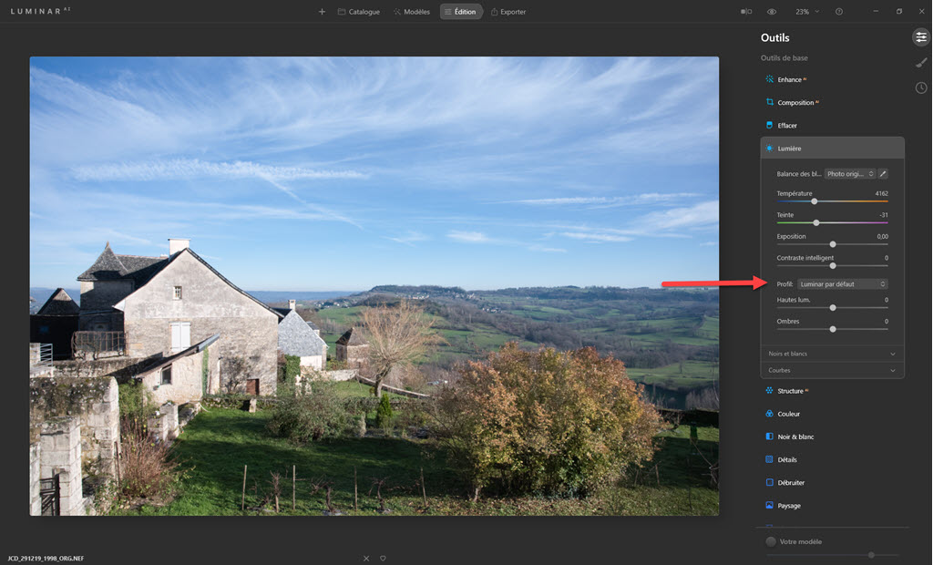 Nikon Picture Control with Luminar