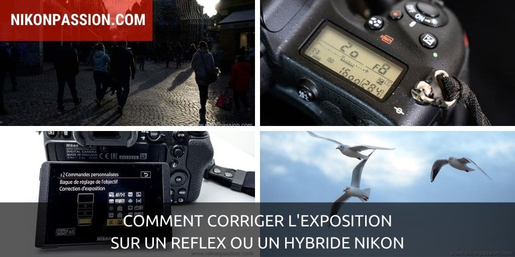 How to correct exposure on a Nikon SLR or hybrid