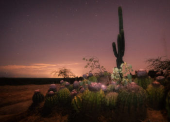 how to make an award winning image from the vision of a national WPA winner