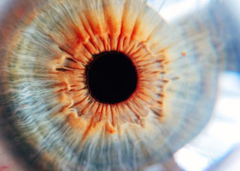 Can I use a macro lens for portraits?