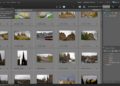 Can Photoshop Elements find duplicates?