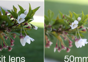 Can you do macro photography with a 50mm lens?