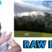 Can you edit RAW photos?