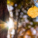 Can you get bokeh at F4?