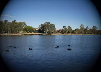 Can you use an APS-C lens on a full frame?