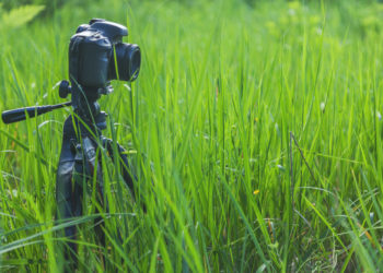 Do all tripods work with all cameras?