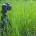 Do all tripods work with all cameras?