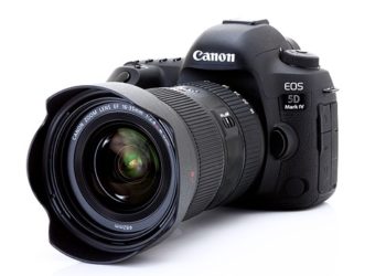 Do professional photographers use bridge cameras?