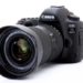 Do professional photographers use bridge cameras?