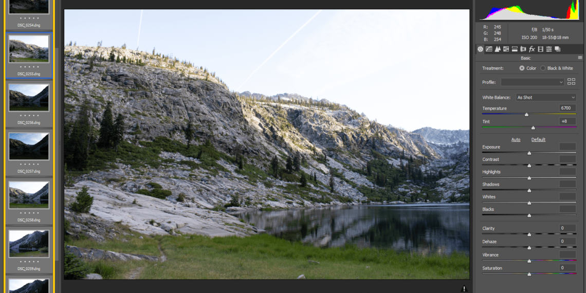 Does Adobe Camera Raw still exist?