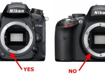 Does Nikon D80 have autofocus motor?
