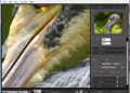 How big can I enlarge a digital picture?