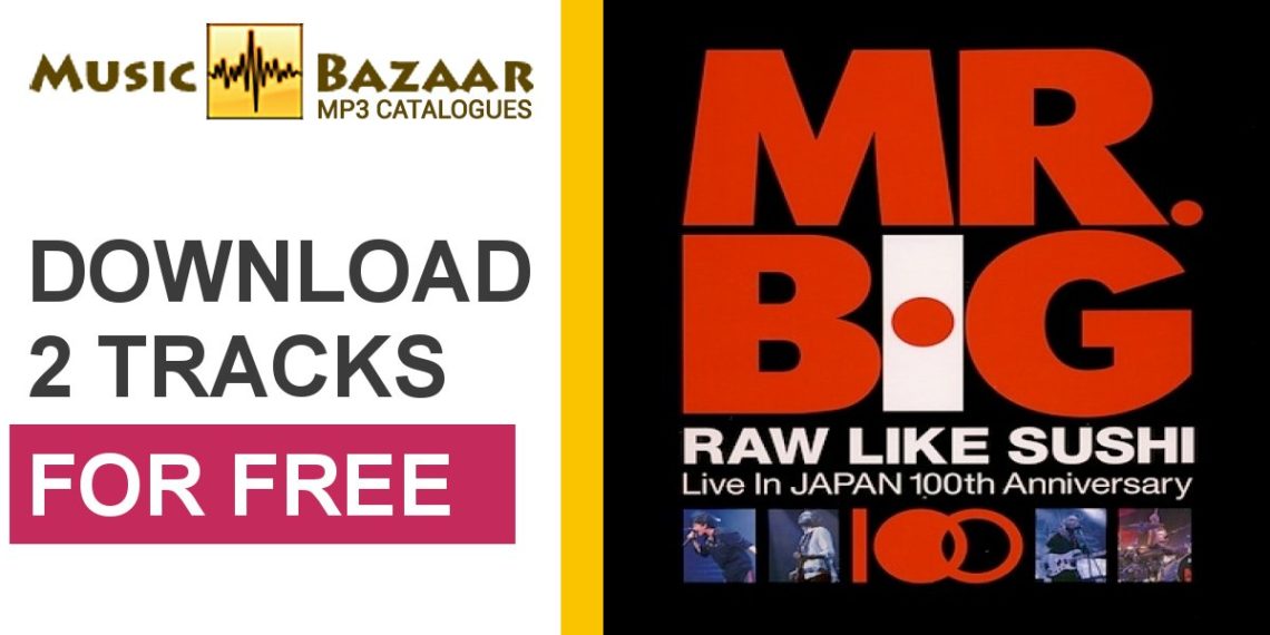 How big is a 45 MP RAW file?