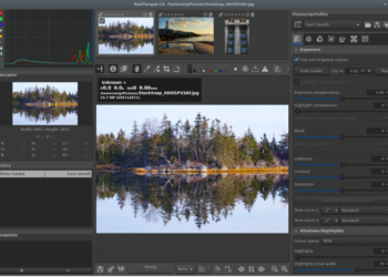 How can I edit raw images in RawTherapee?