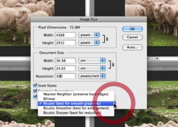 How do I Crop an image without losing quality?