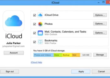 How do I access my cloud backup?