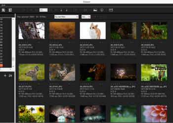 How do I convert ARW to JPG in imaging edge?