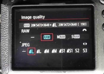 How do I convert JPEG to RAW?