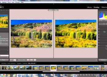 How do I convert RAW files?