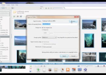How do I convert raw files to JPEG?