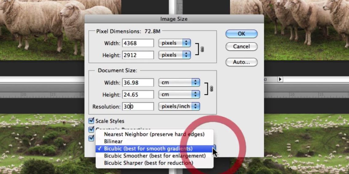 How do I crop an image without losing quality?