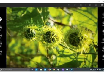 How do I edit and save RAW photos?