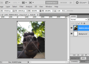 How do I increase the PPI of an image?