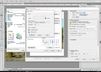 How do I know if my photo is 300 dpi?