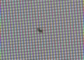 How do I know the pixels of a picture?