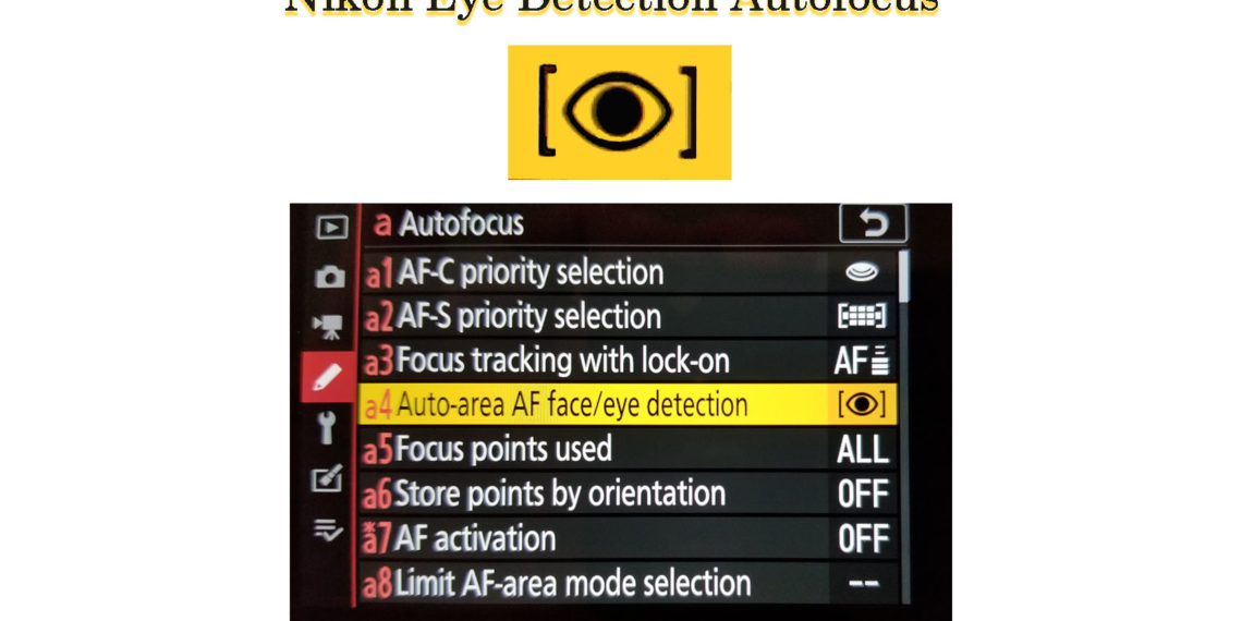 How do I know what firmware my Nikon has?