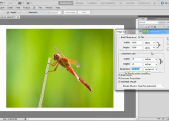 How do I make a picture a specific size?