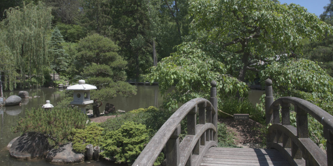 How do I post a raw image?