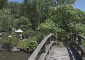 How do I post a raw image?