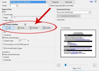 How do I print a picture in size?