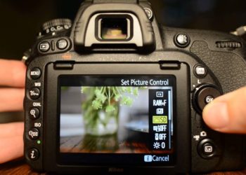 How do I remove info from Live View Nikon?