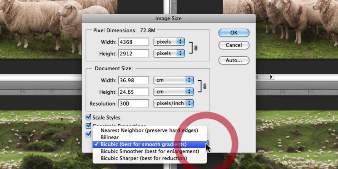 How do I resize an image without losing quality?