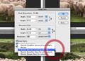 How do I resize an image without losing quality?