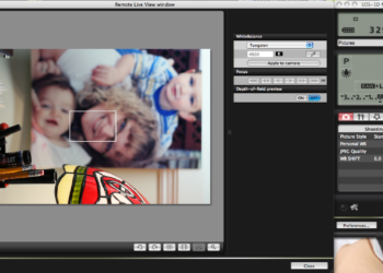 How do I view Canon live on my PC?