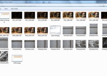 How do I view RAW files?